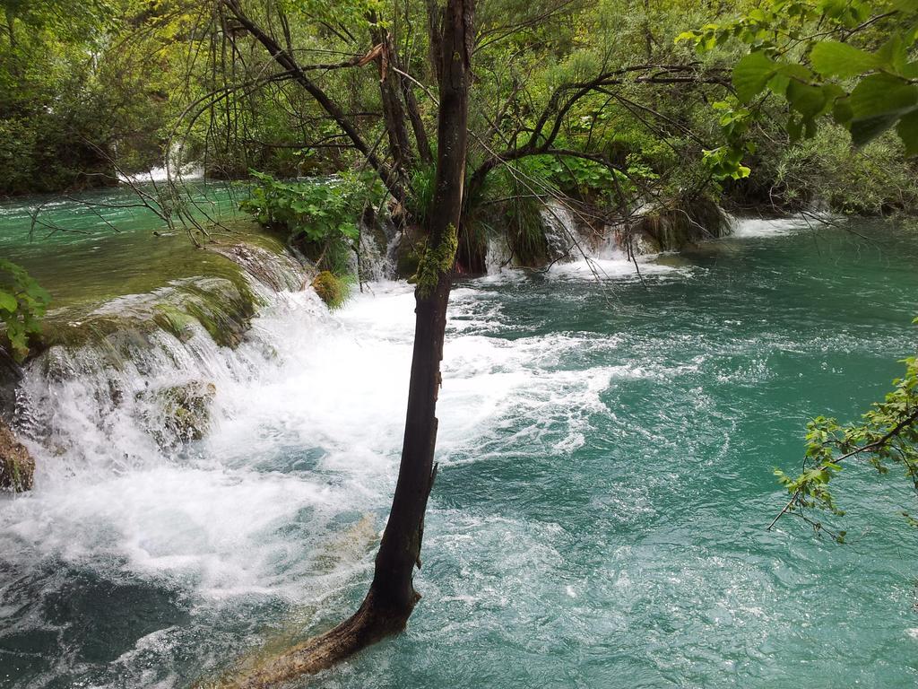 Guest House Family Varda Plitvice Lakes Plitvička Jezera Extérieur photo